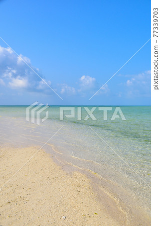 Taketomijima Condoi Beach 77339703