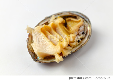Cooked Abalone Cooked Abalone 77339706
