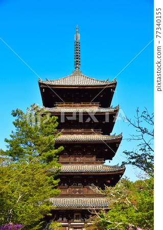 Ninnaji Temple Ninnaji Temple 77340155