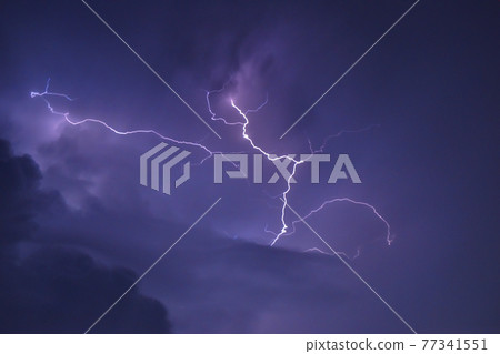 雷聲 雷聲 77341551