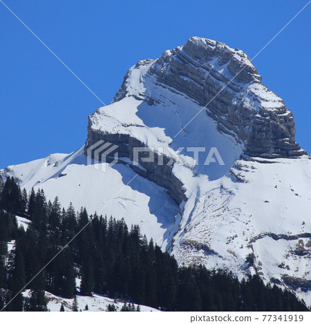 Zindlenspitz, mountain in Schwyz Canton. Zindlenspitz, mountain in Schwyz Canton. 77341919