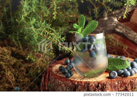 Cocktail with ice, blueberries, and mint on a pine stump in the forest. Cocktail with ice, blueberries, and mint on a pine stump in the forest. 77342011