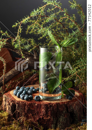 Cocktail with ice, blueberries, and mint on a pine stump in the forest. Cocktail with ice, blueberries, and mint on a pine stump in the forest. 77342012