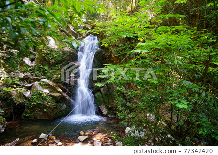 Nara / Saho River headwaters / May Uguisuno-taki 6 Nara / Saho River headwaters / May Uguisuno-taki 6 77342420