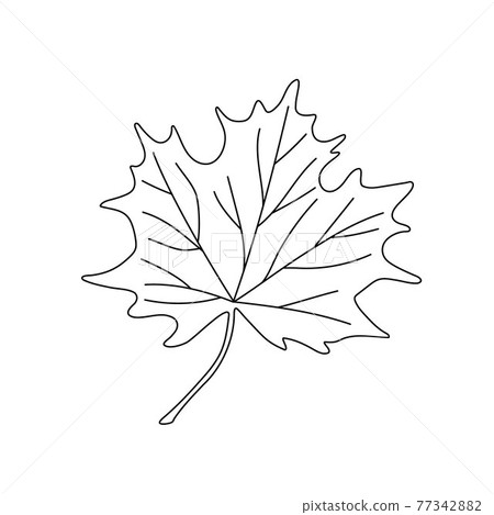 Autumn leaves simple vector minimalist concept flat style illustration, multicolored hand drawn natural floral elements set, element for invitations, greeting cards, booklet, autumn holiday decor Autumn leaves simple vector minimalist concept flat style illustration, multicolored hand drawn natural floral elements set, element for invitations, greeting cards, booklet, autumn holiday decor 77342882