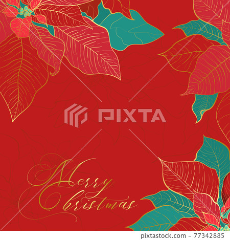 Silk Poinsettia Christmas square red background 77342885