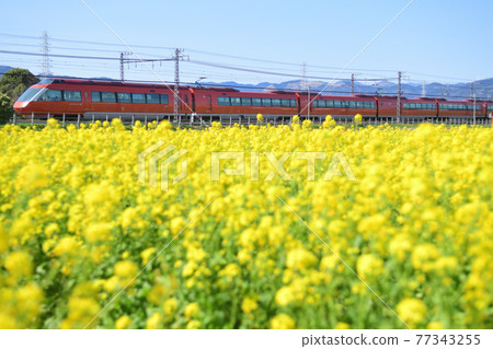 Odakyu Romancecar 50000 VSE going through the rape field 77343255
