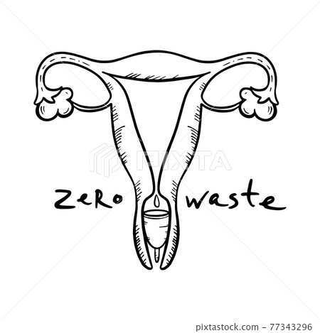 MENSTRUAL CUP Gynecological Healthcare Zero Waste Feminine Hygiene Hand Drawn Monochrome Vector Illustration Set For Print 77343296
