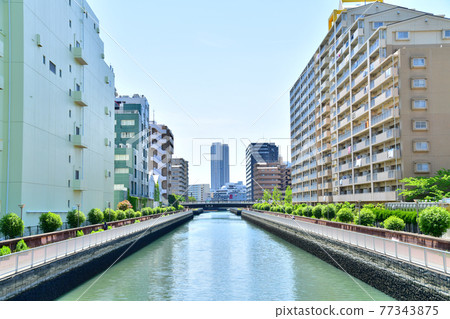 從白明橋/平急川（東京都江東區）看濱崎橋 [2021.4] 77343875