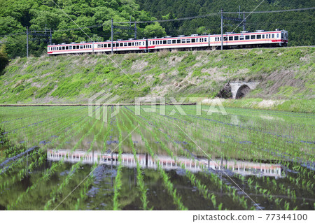 水稻種植後的水鏡稻田和東武鐵道6050系列列車 77344100
