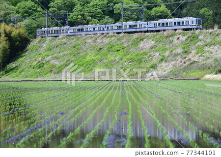水稻種植後的水鏡稻田和東武鐵道20400型列車 77344101