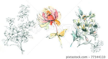 色彩豐富的花卉素材組合和設計元素 色彩豐富的花卉素材組合和設計元素 77344110