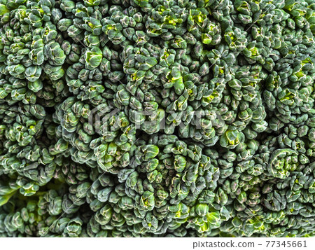 natural background - fresh broccoli florets 77345661