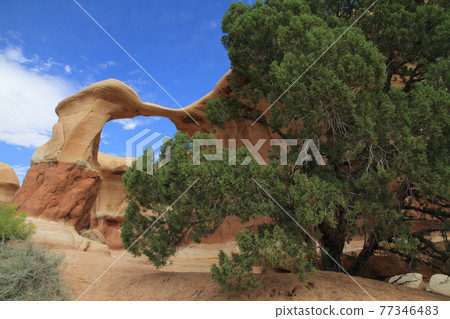 Devil's garden Devil's garden 77346483