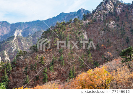 overgrown rocks in Seoraksan National Park overgrown rocks in Seoraksan National Park 77346615