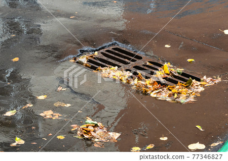 fallen leaves near urban drain grid on street fallen leaves near urban drain grid on street 77346827