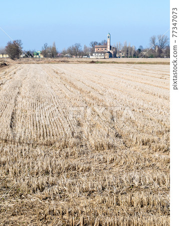 dried harvested fileld and church in Lombardy 77347073
