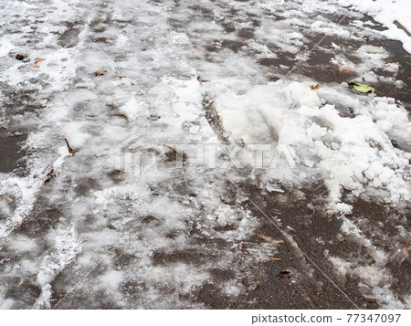the first melting snow on footpath in city park the first melting snow on footpath in city park 77347097