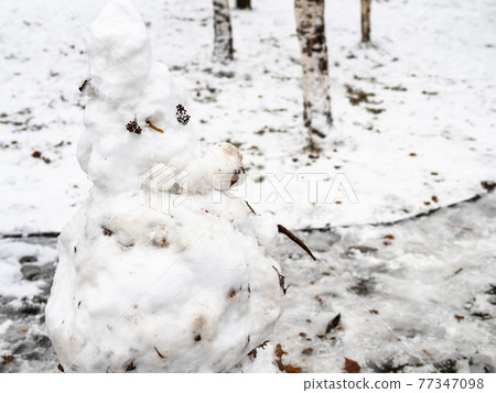 snowman from first snow near ice-covered path snowman from first snow near ice-covered path 77347098