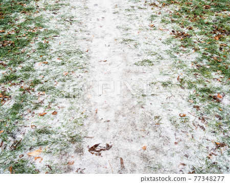 ice-covered trodden footpath in city park ice-covered trodden footpath in city park 77348277
