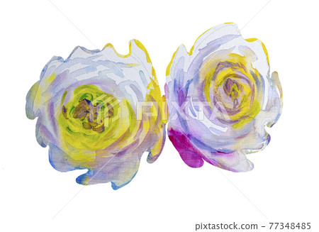 White roses, Artistic sketch etude. Wet painting White roses, Artistic sketch etude. Wet painting 77348485