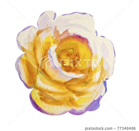 White roses, Artistic sketch etude. Wet painting White roses, Artistic sketch etude. Wet painting 77348486