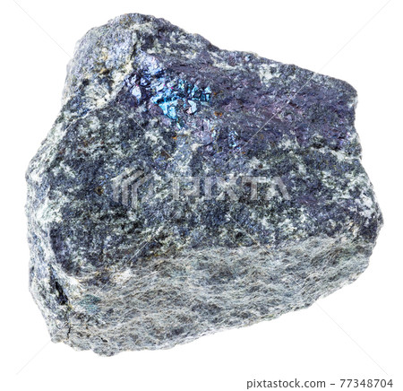 raw bornite (peacock ore) rock on white 77348704