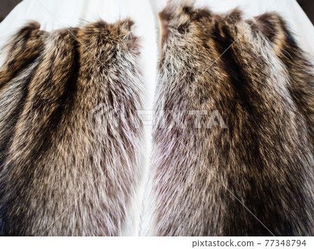 fur pelts stitched to the textile layout close up fur pelts stitched to the textile layout close up 77348794