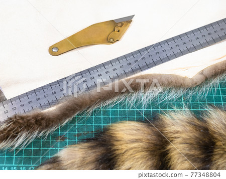fur knife and ruler on a pelt on cutting mat fur knife and ruler on a pelt on cutting mat 77348804