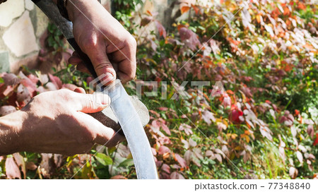peasant sharpens scythe by grindstone close up 77348840