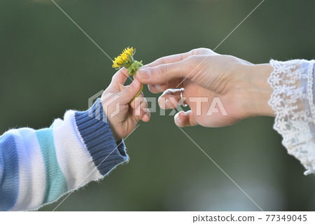 Hand delivering a flower Hand delivering a flower 77349045
