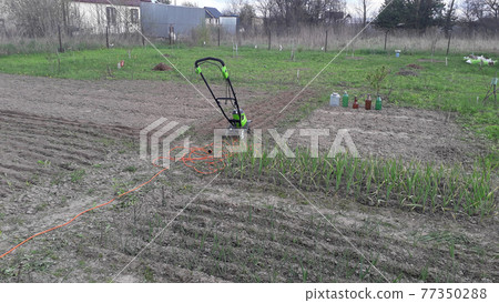 Plowing a garden with a hand cultivator 77350288