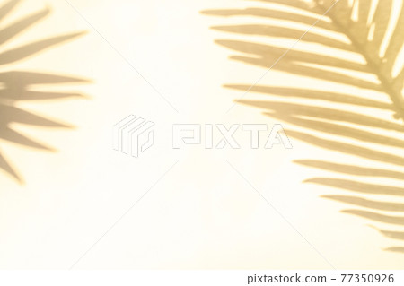 Space shadow summer background. Plant leaf shadows on white wall in abstract tropical sunlight texture. Exotic travel conception. Template background for text, wallpaper. Space shadow summer background. Plant leaf shadows on white wall in abstract tropical sunlight texture. Exotic travel conception. Template background for text, wallpaper. 77350926