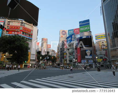 清晨的澀谷十字路口 清晨的澀谷十字路口 77351643