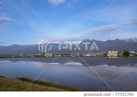 Morning in Azumino [Paddy fields and the Northern Alps] 77351785