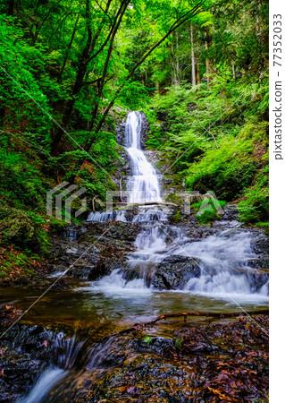 Fresh green and Jakko Waterfall (vertical) Fresh green and Jakko Waterfall (vertical) 77352033