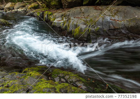 Kikuchi Valley in the early spring Kikuchi Valley in the early spring 77352198