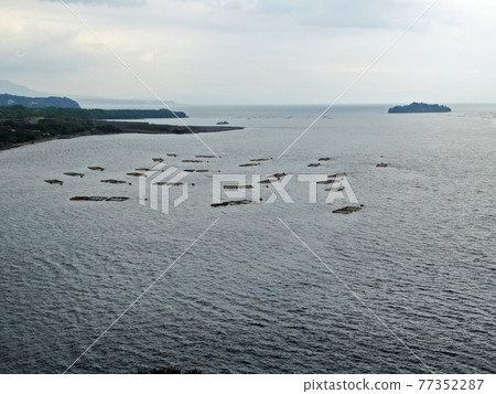 櫻島赤水町漁港的水產養殖筏 77352287