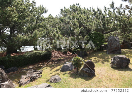 和歌浦萬葉路周邊的風景 和歌浦萬葉路周邊的風景 77352352