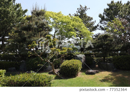 Scenery around the Manyo Road in Wakaura 77352364