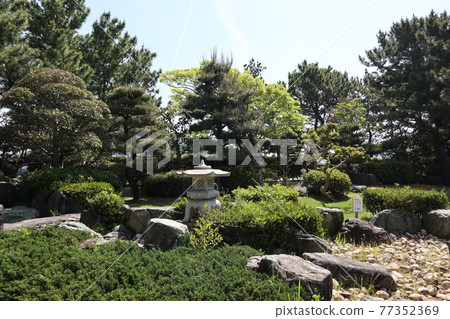 和歌浦萬葉路周邊的風景 和歌浦萬葉路周邊的風景 77352369