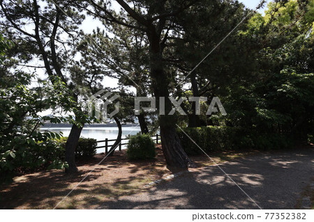 和歌浦萬葉路周邊的風景 和歌浦萬葉路周邊的風景 77352382