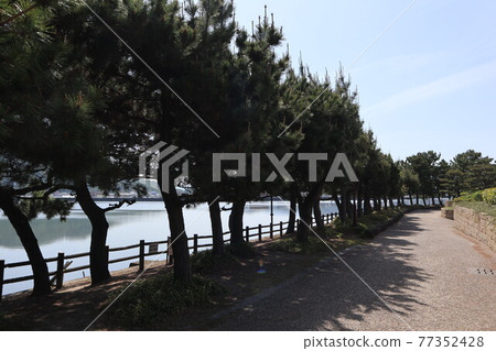 和歌浦萬葉路周邊的風景 77352428