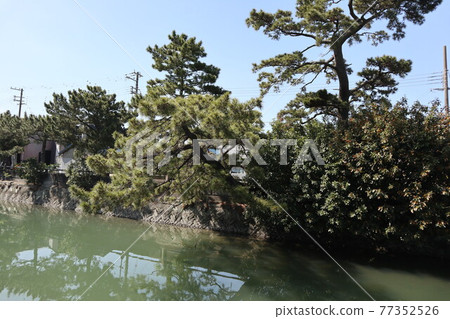和歌浦萬葉路周邊的風景 和歌浦萬葉路周邊的風景 77352526