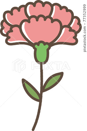 康乃馨可愛圖 77352999