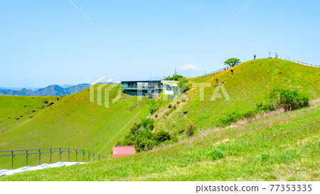伊豆大室山的風景(春季) 伊豆大室山的風景(春季) 77353335