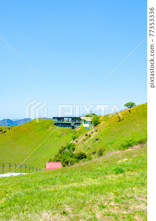 伊豆大室山的風景(春季) 伊豆大室山的風景(春季) 77353336