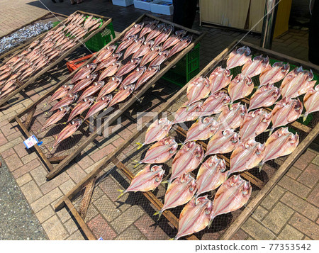 曬乾的魚乾 曬乾的魚乾 77353542