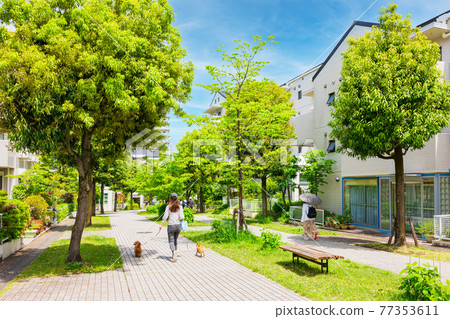 安靜的住宅區 安靜的住宅區 77353611