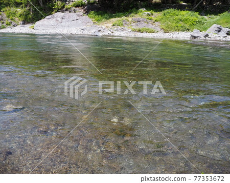 Enjoy in the clear spring Okutama River near the Gyokudo Art Museum at Mitake Station on the JR Ome Line 77353672